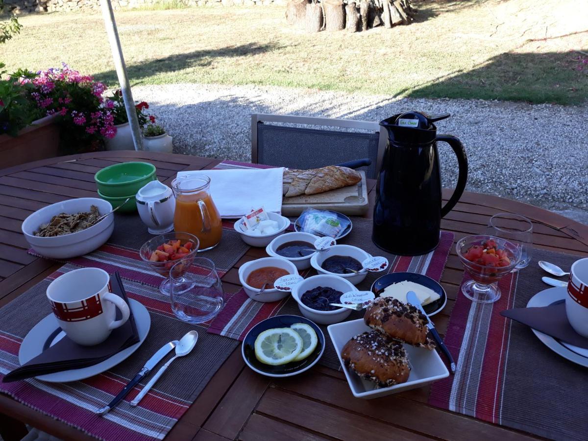 Chez Yvette , C'Est Chouette!! Bed & Breakfast Carcassonne Exterior photo